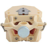 Arcada dentara tip Frasaco cu 32 dinti - imagine 5