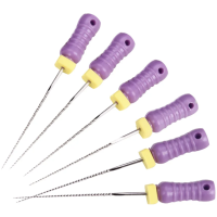 Set de ace endodontice K-files 21mm #10 (mov) - imagine 2