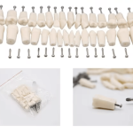 Set de 32 de dinti pentru arcada Nissin - imagine 2